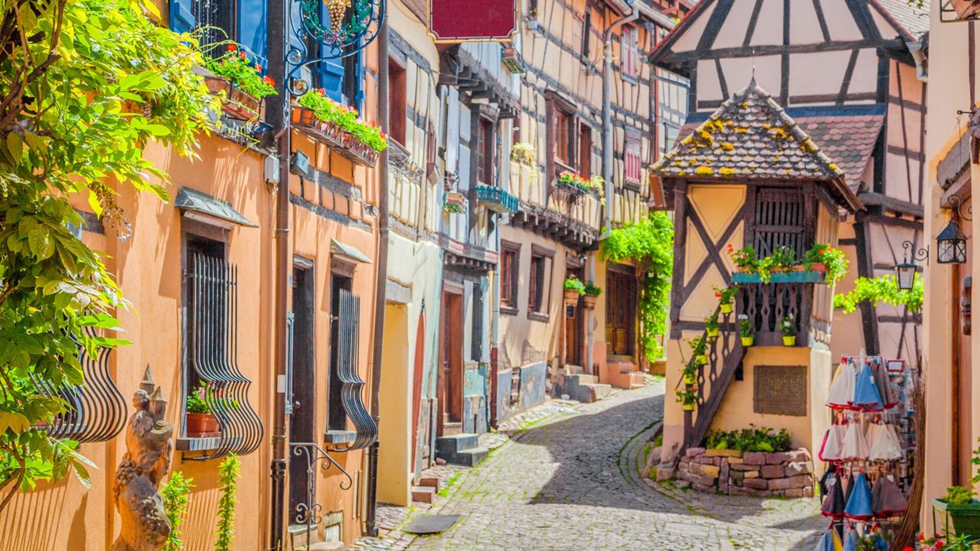 Trek France : L\'Alsace entre vignobles et villages médiévaux Trek - France : L\'Alsace entre vignobles et villages médiévaux