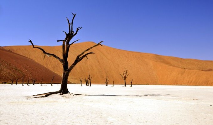 Voyage à pied Namibie : Namibie, terre de contrastes Voyage à pied : Namibie, terre de contrastes