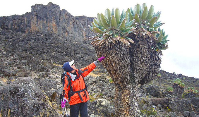 Voyage à pied Tanzanie : L\'Ascension du Kilimandjaro et la découverte des grands parcs animaliers Voyage à pied : Tanzanie : L\'Ascension du Kilimandjaro et la découverte des grands parcs animaliers