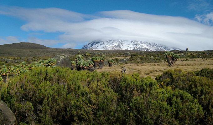 Voyage à pied Tanzanie : L\'Ascension du Kilimandjaro par la voie Machame Voyage à pied : Tanzanie : L\'Ascension du Kilimandjaro par la voie Machame