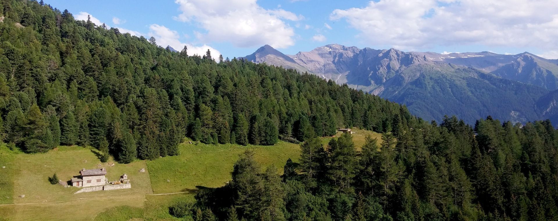 Chalet d'alpage et forêt - Vanoise - Savoie - France