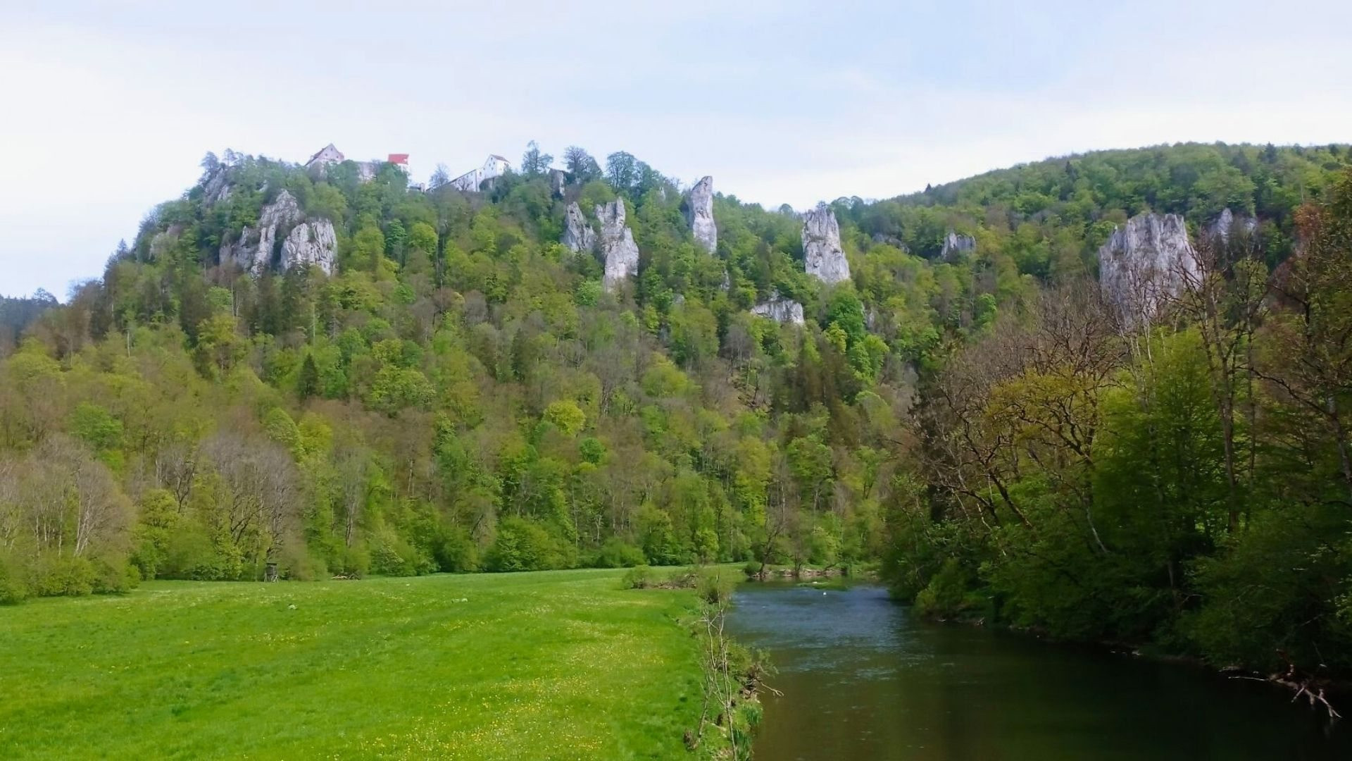 article clemence, le long du danube
