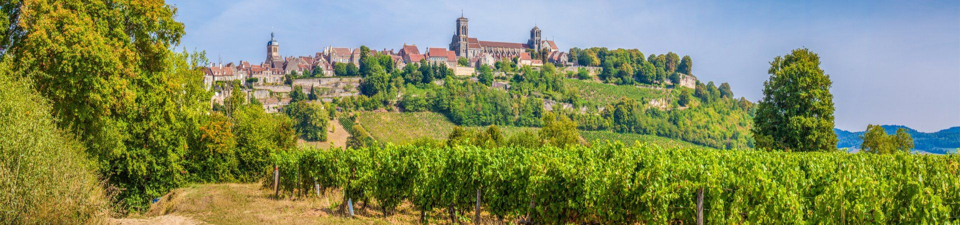Basilique de Vézelay dominant les vignobles - Bourgogne - France