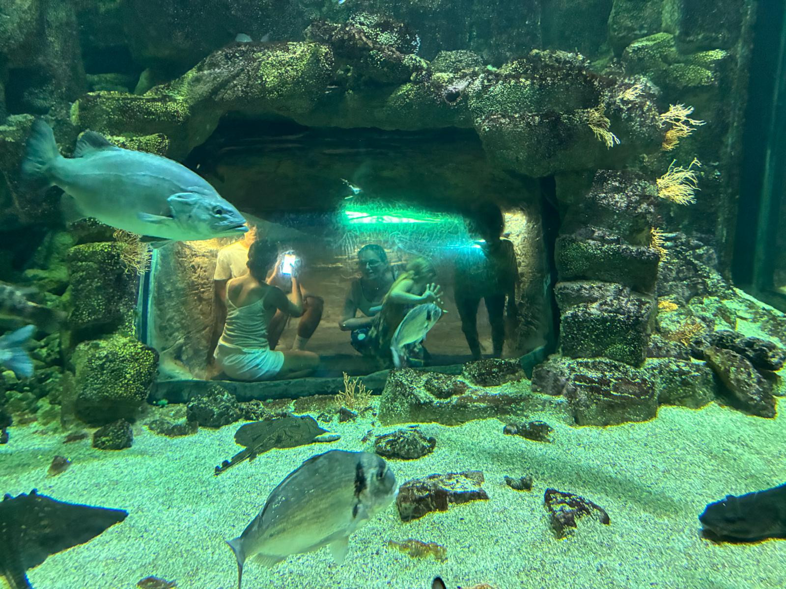 Bassin de l'Aquarium de La Rochelle © Astrid Touati