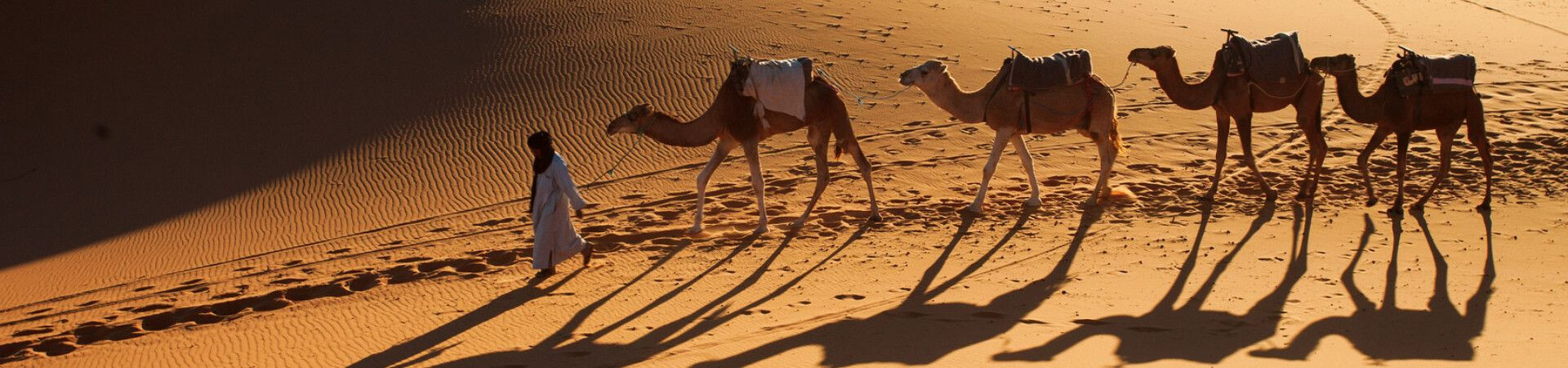 Caravane de dromadaires au coucher du soleil - Désert, Maroc