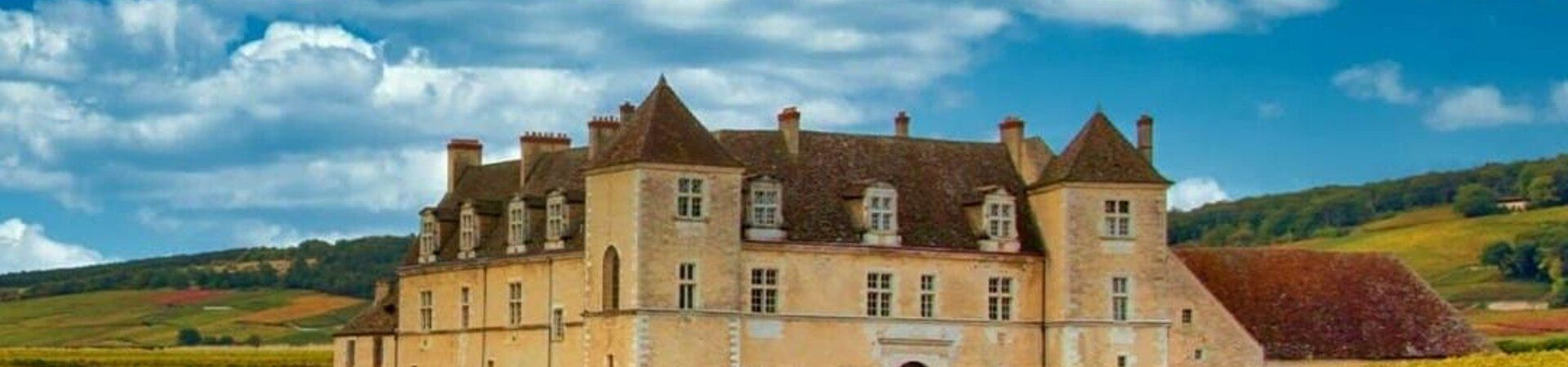 Château entouré de vignobles en automne - Bourgogne - France