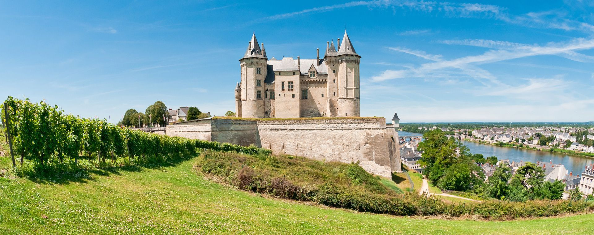 Château de Saumur et vignes - Val de Loire - France