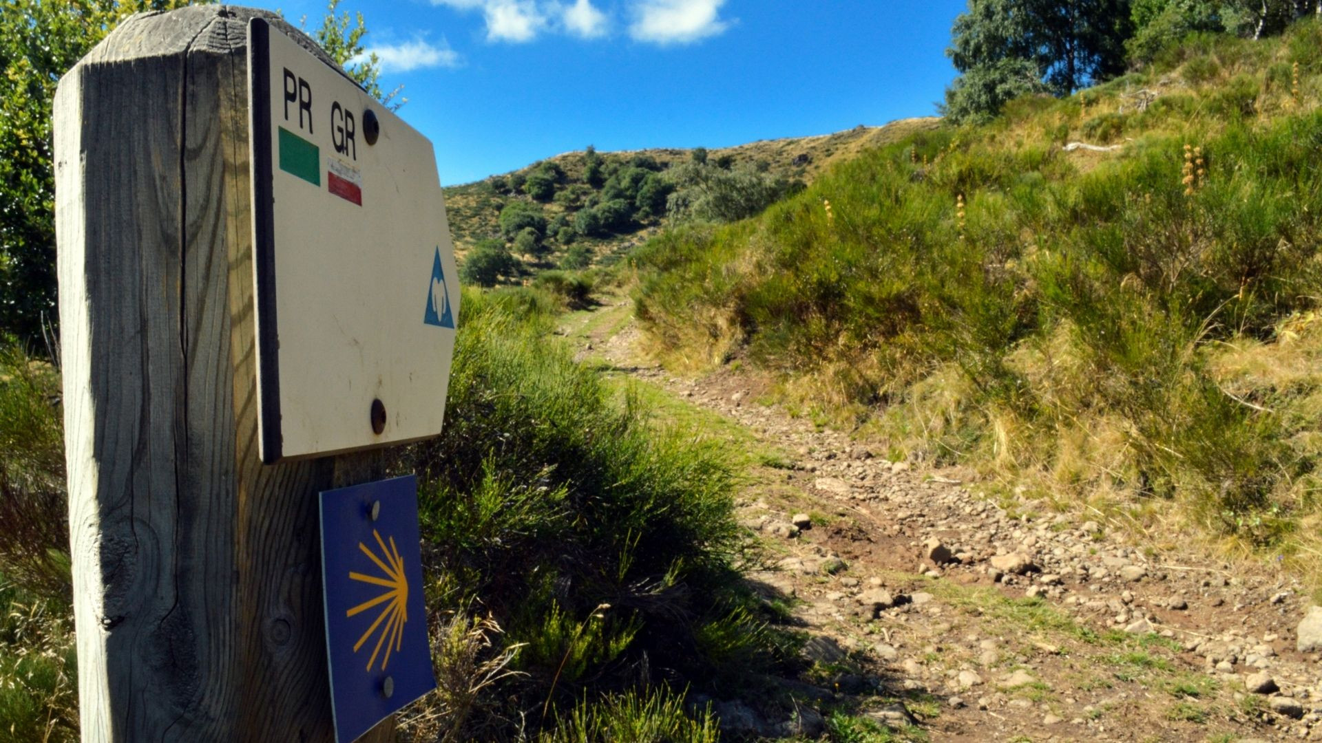 chemins de compostelle voyagez autrement entre nature et patrimoine