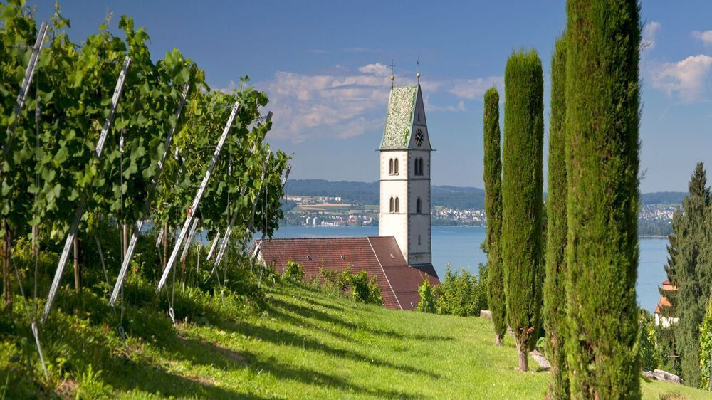 Église et vignes de Meersburg - Lac de Constance - Allemagne