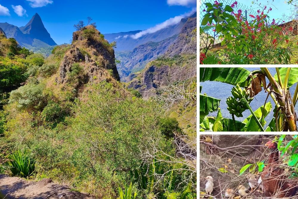 Cirque de Mafate et Piton des Calumets - La Réunion