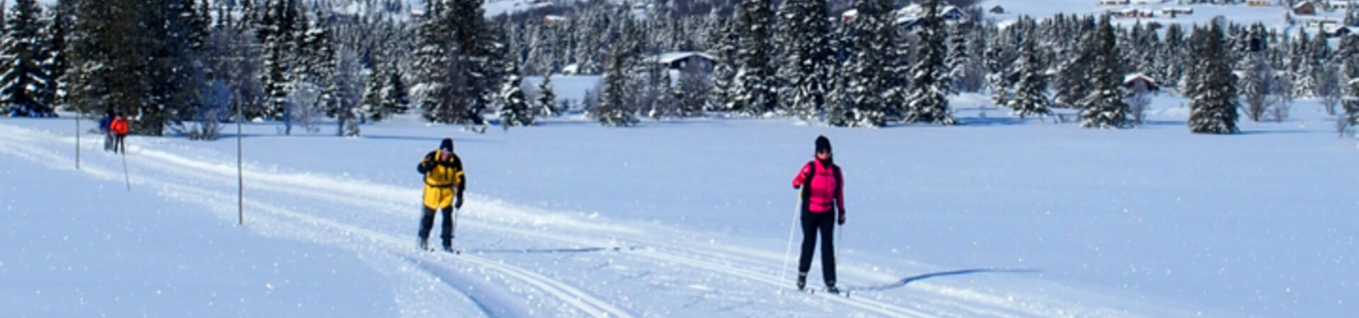 Ski de fond classique à Venabu - Norvège (2)