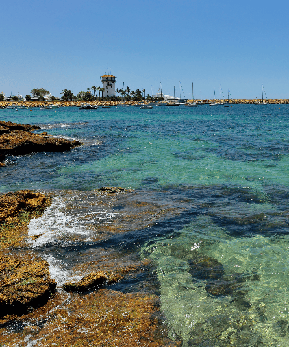© Giovanna Crippa Platja de Coll Baix - Alcúdia - Majorque - Espagne