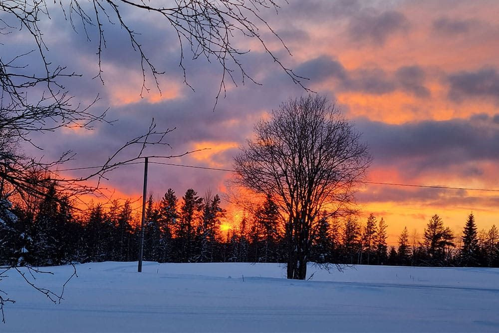 Coucher de soleil derrière la forêt