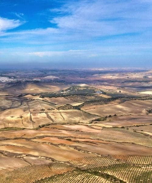 © David Praire Campagne autour d'Arcos de la Frontera - Andalousie - Espagne