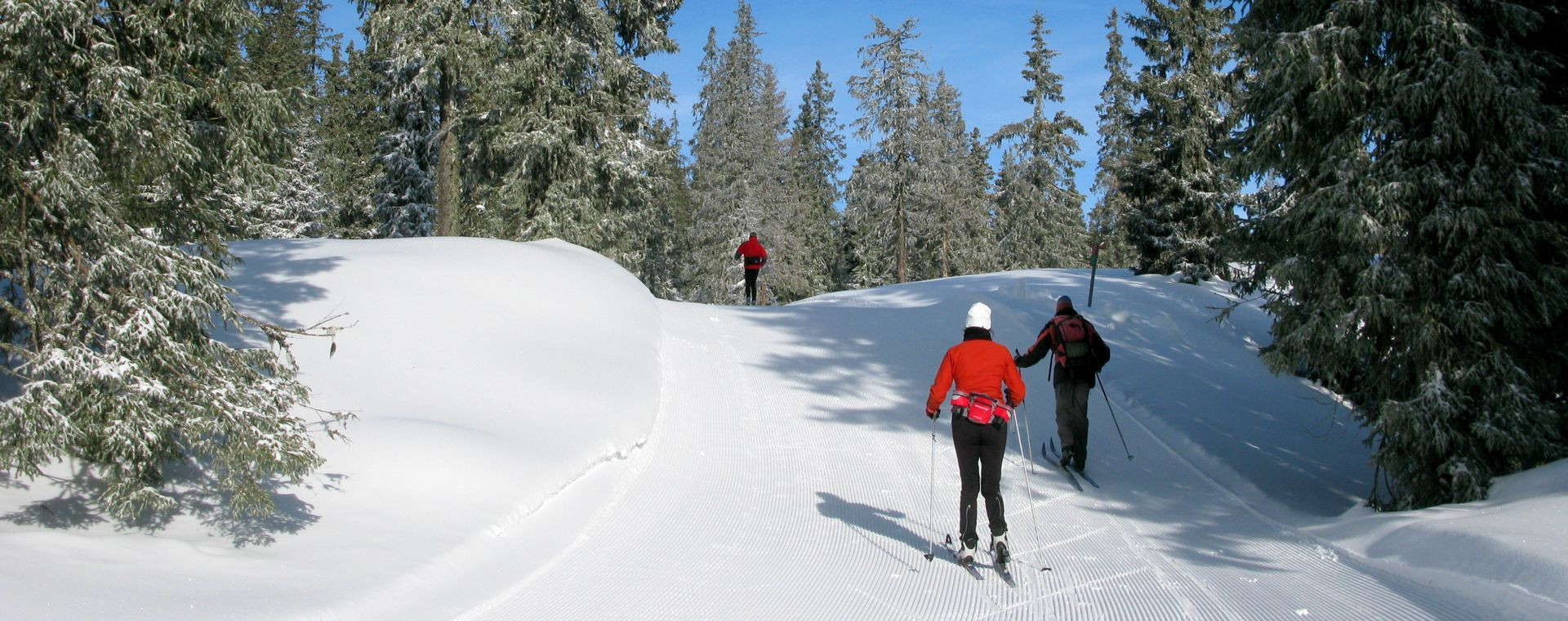 Piste de ski de fond à Golsfjellet - Norvège