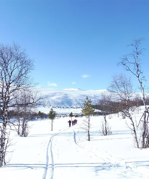 © Raphaëlle Mollard Piste de ski de fond dans la vallée enneigée de Sjoa - Norvège