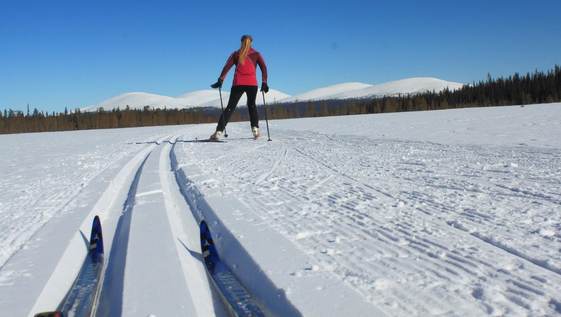 Skieuse de fond sur piste tracée - Laponie finlandaise - Finlande