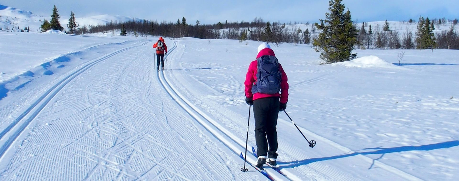 Skieuse de fond devant les chalets - Venabu - Norvège