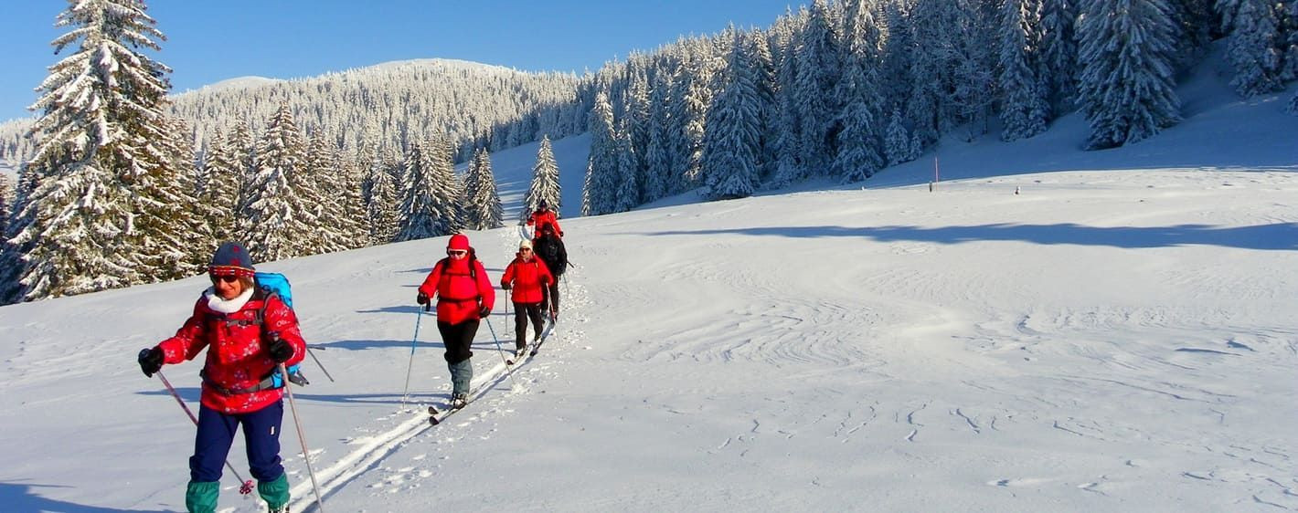 Skieurs en randonnée nordique dans la forêt enneigée - Jura - France