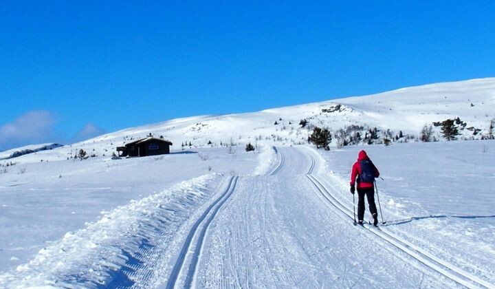 Skieuses de fond sur les hauts plateaux - Venabu - Norvège