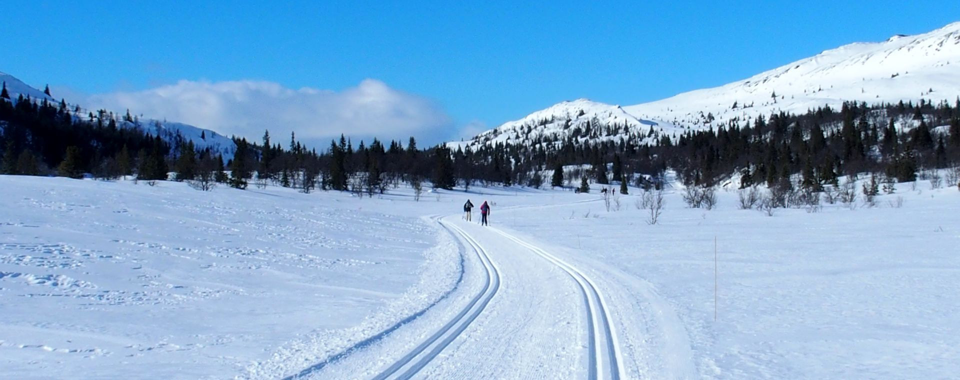 Ski de fond à Skeikmapnen - Norvège