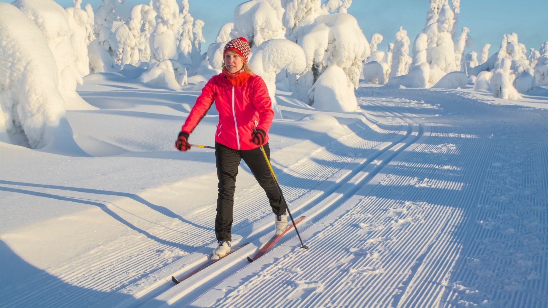 ski de fond, différence entre tous les skis