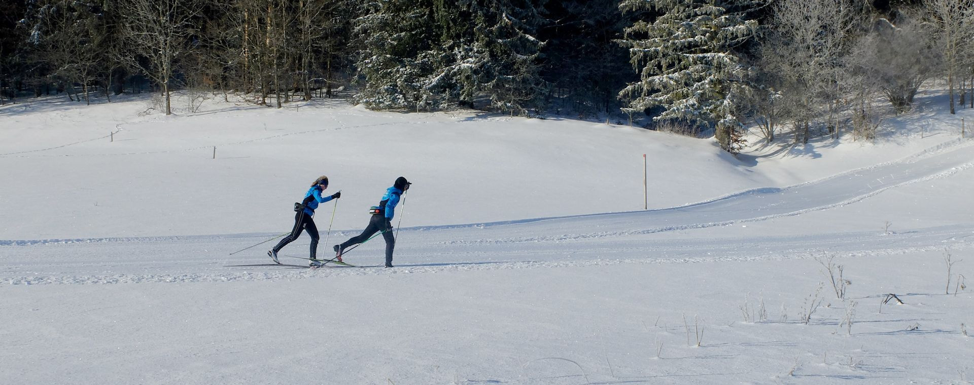 Ski de fond à Golsfjellet - Norvège