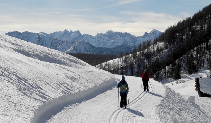 Ski de fond sur piste forestière - Queyras - Alpes du Sud, France