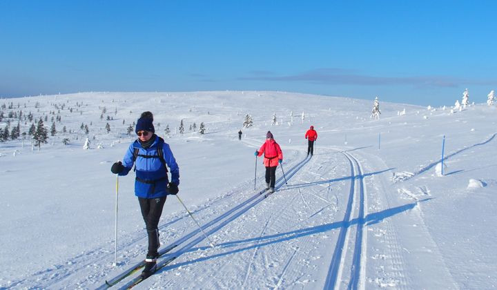 Ski de fond sur le plateau enneigé - Kiilopää - Laponie, Finlande
