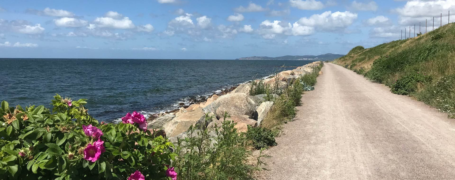 © Quentin Vanaker Piste cyclable au nord de Höganäs - Kattegattleden - Suède (2)