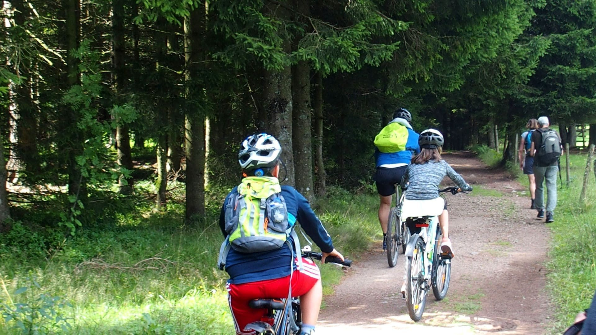 © Jean-Claude Praire Vélo sur un chemin forestier dans la Haute Forêt-Noire - Allemagne