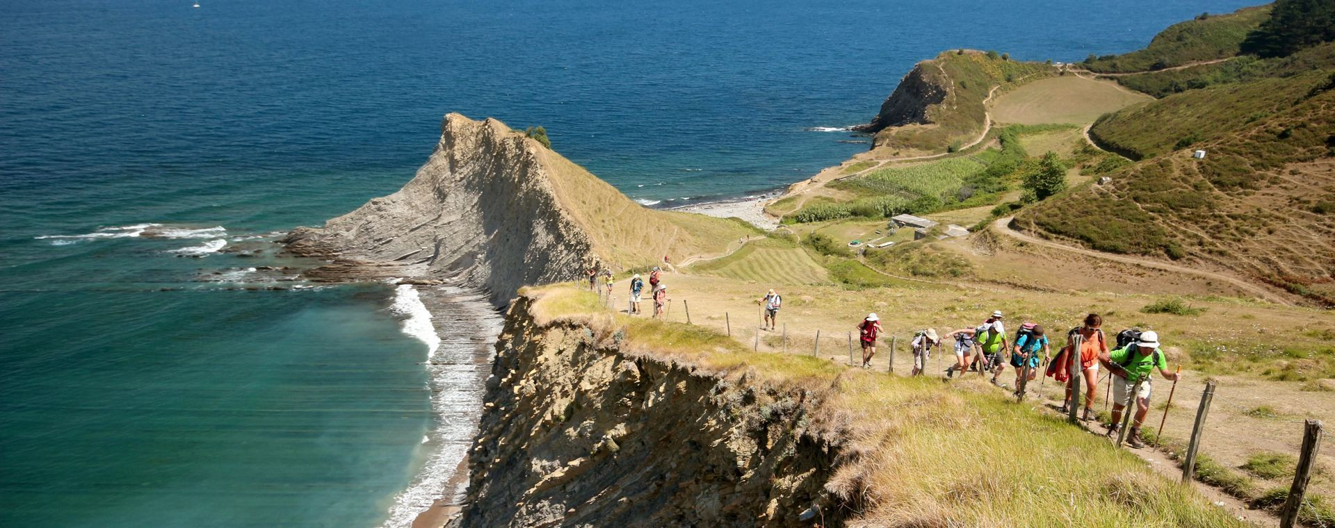 Voyage nature au Pays-Basque