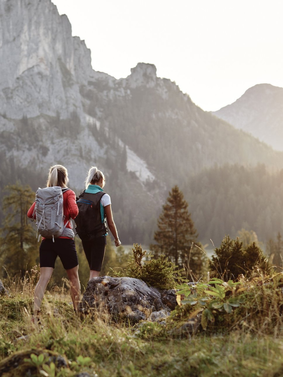 100% indépendance, 0% logistique