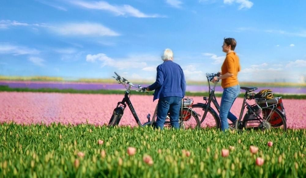 Cyclistes au bord d'un champ de tulipes - Pays-Bas