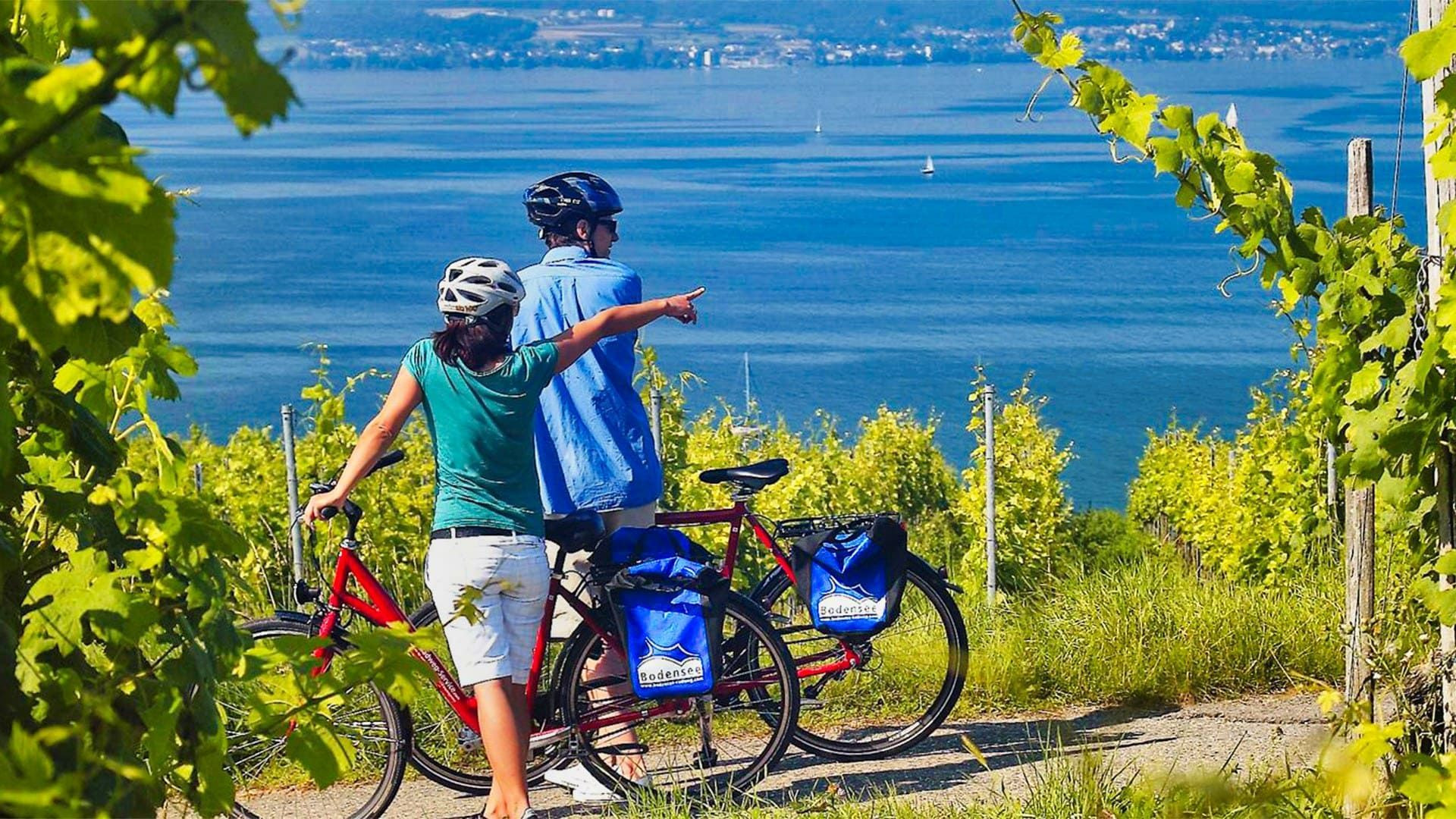 Cyclistes dans les vignes au-dessus du lac de Constance - Allemagne