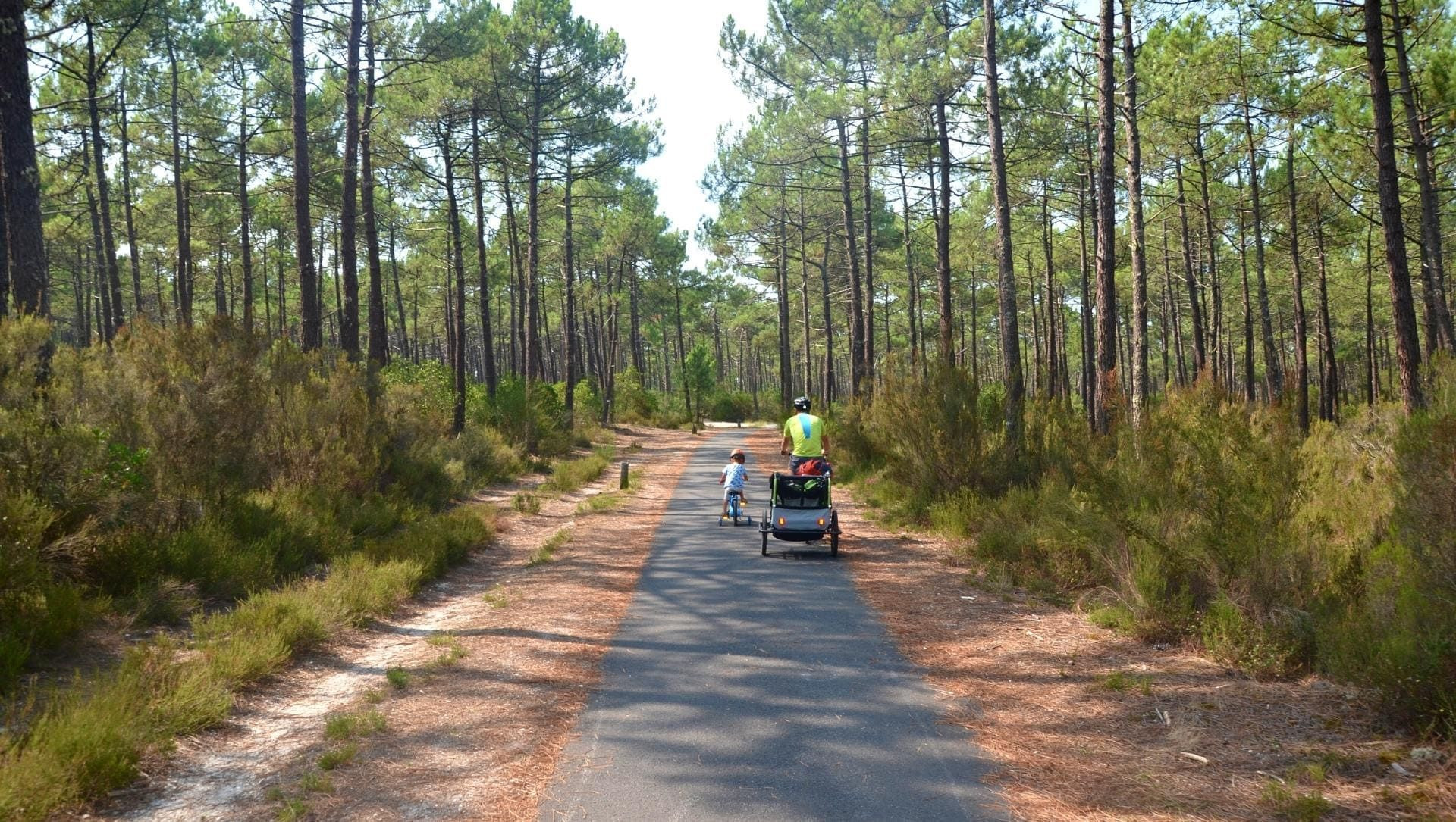Cyclistes sur piste cyclable en forêt entre Maubuisson et Lacanau - France