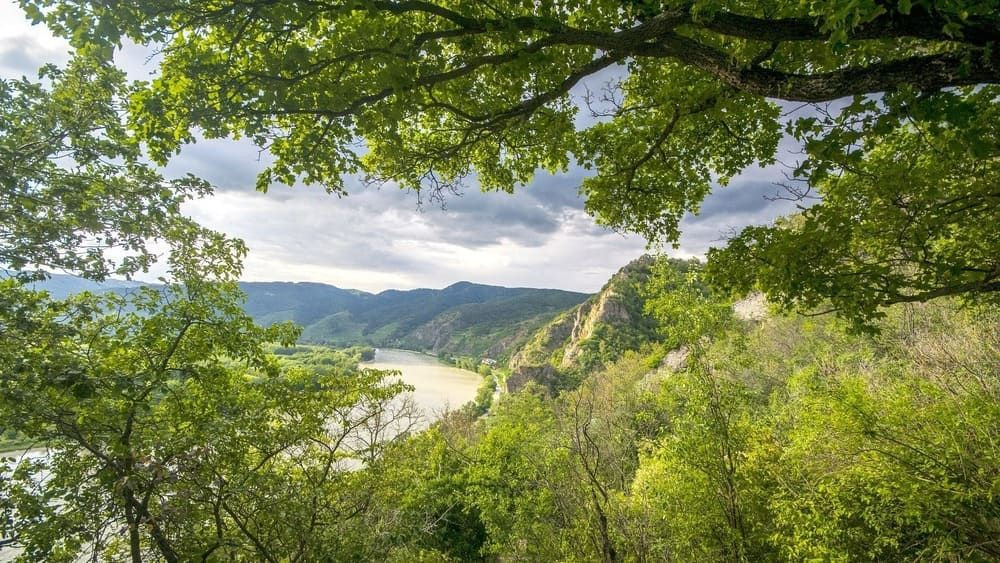 Boucle du Danube dans la vallée de la Wachau - Autriche