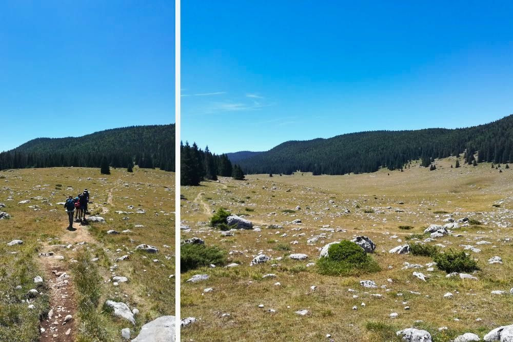 © Adrien Ozanon Prairie de Darbounouse sur les Hauts Plateaux du Vercors © Adrien Ozanon
