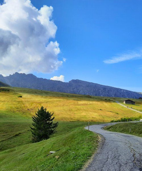 Alpages des Dolomites - Dolomites - Italie