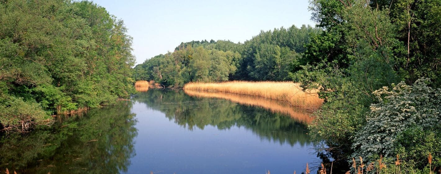 Parc national des Donau-Auen - Basse-Autriche - Autriche
