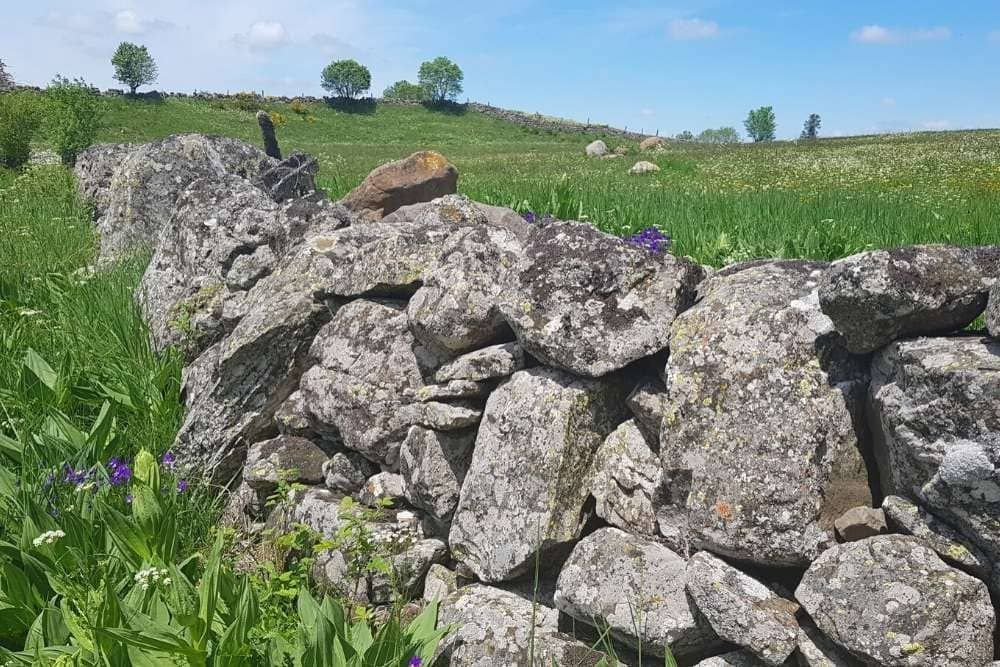 Mur sur le haut plateau de l'Aubrac © Anne-Marie Billault