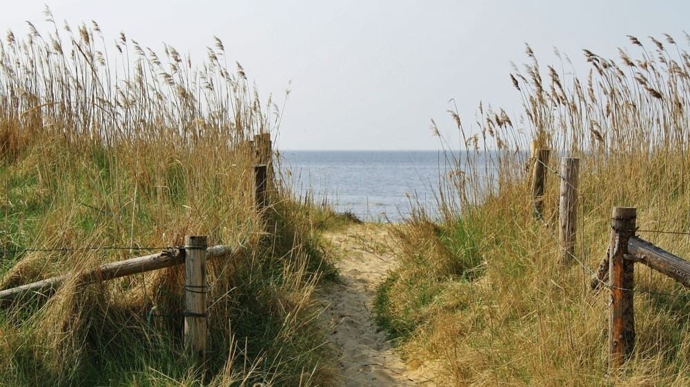 Sentier dans les dunes vers la mer - Cuxhaven - Allemagne