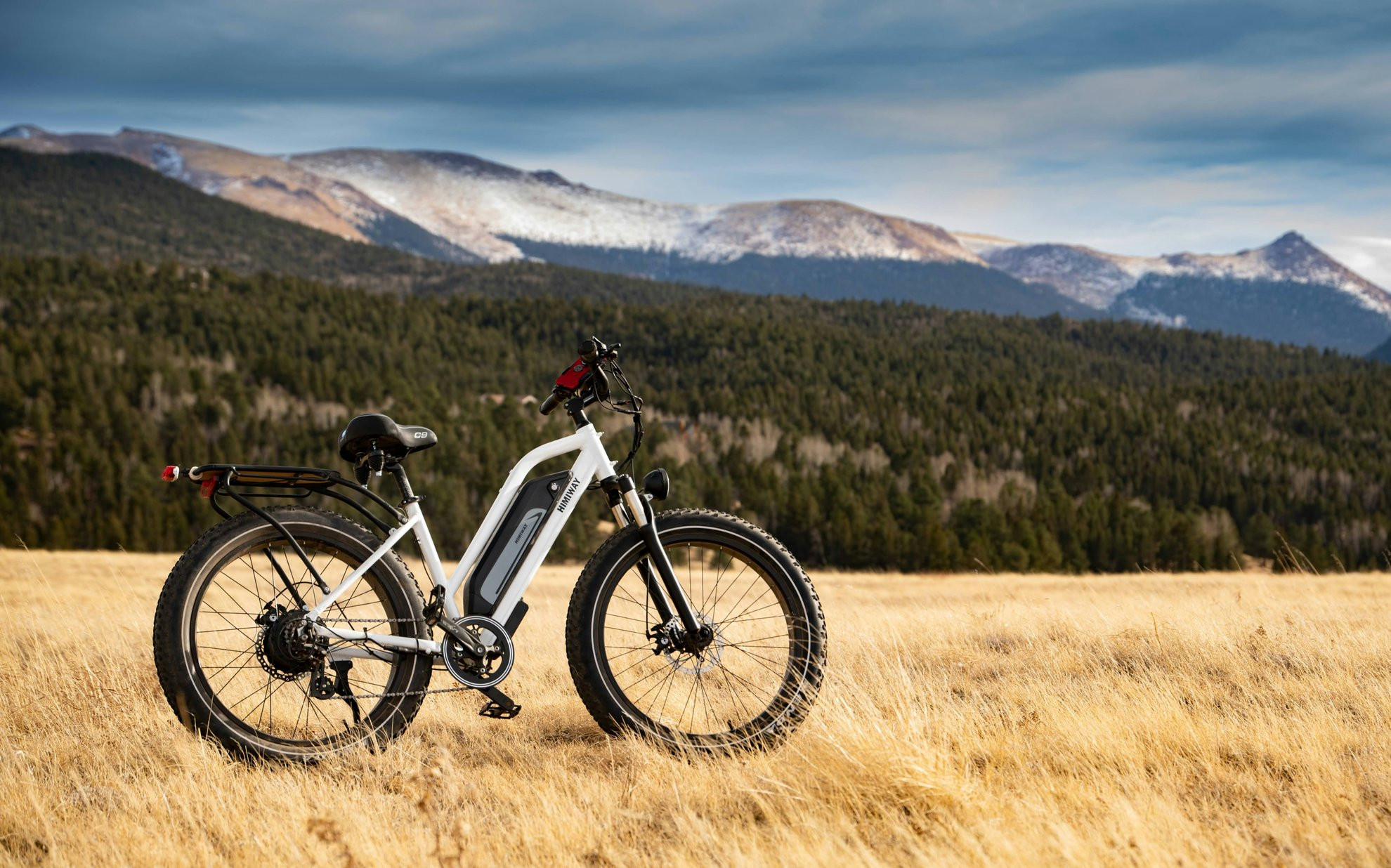Vélo électrique à gros pneus dans une prairie face aux montagnes enneigées