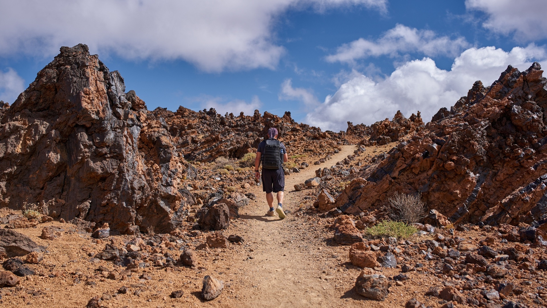 © Slatan ESPLP0003 Espagne Îles Canaries Ténérife Teide @Slatan Canva