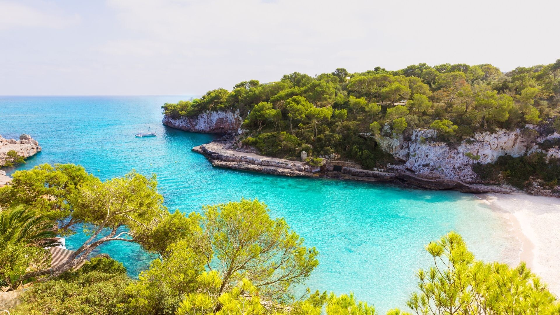 Crique turquoise bordée de pins - Cala Santanyí - Majorque - Espagne