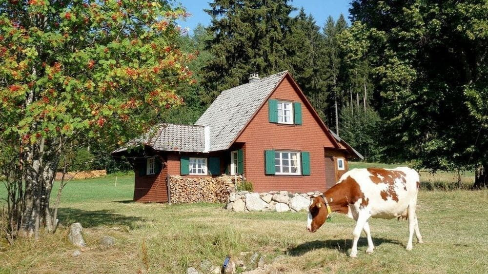© Raymond Chabanier Ferme et vache au pré - Forêt-Noire - Allemagne