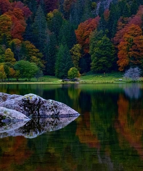 © Unsplash feldsee_c_unsplash_.jpg