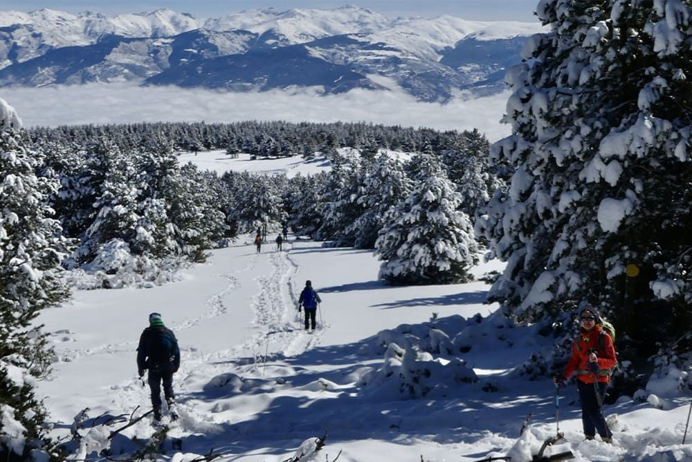 © Michel Madré Forêt et montagnes en hiver - Pyrénées-Orientales - France