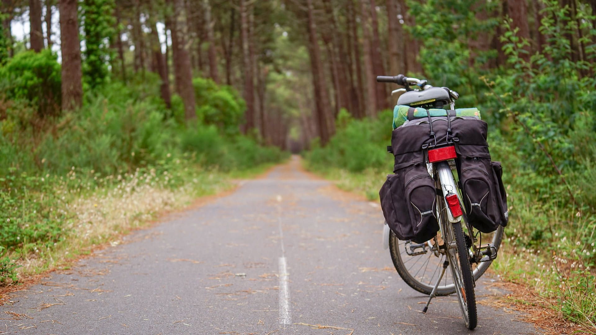Vélo chargé sur la Vélodyssée en forêt des Landes - Mimizan - Aquitaine