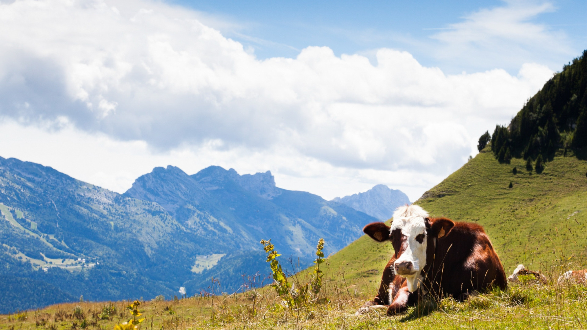 fralp0024-tour-du-vercors-moliere-2